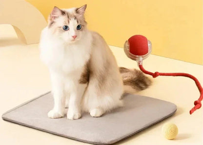 Smart Cat Ball Toy: Electric Rolling Ball for Cats and Dogs - Interactive and Automatic - USB Rechargeable