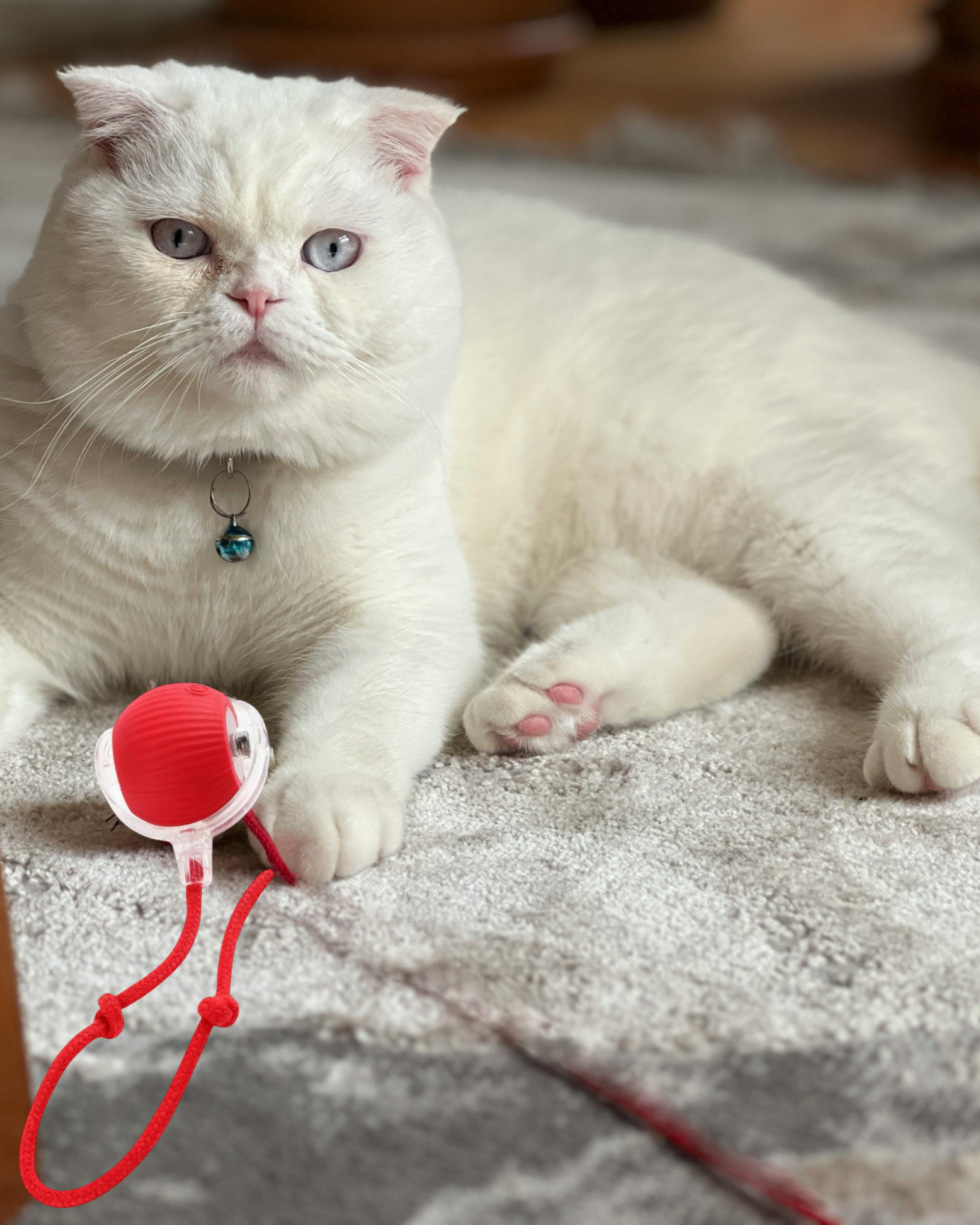 Smart Cat Ball Toy: Electric Rolling Ball for Cats and Dogs - Interactive and Automatic - USB Rechargeable